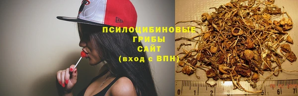 таблы Приозерск